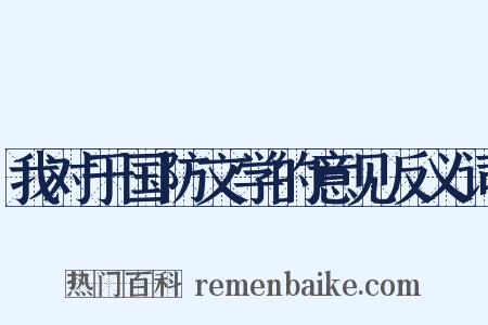 我对于国防文学的意见反义词是什么意思的图片